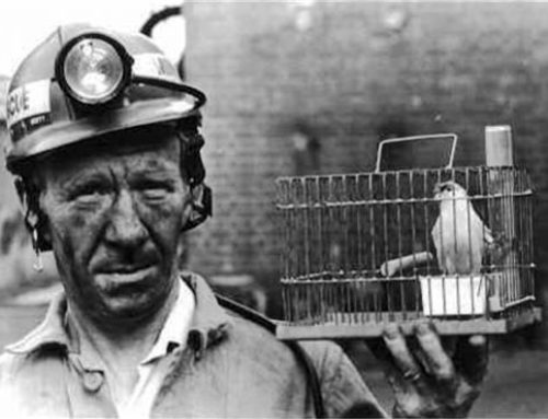 Highly Sensitive Children: Canaries in the Coal Mine